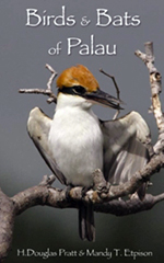 Birds & Bats of Palau (bookcover)