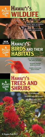 A Pocket Guide to Hawaii's Trees and Shrubs (bookcover)